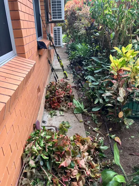 Garden bed along the house wall