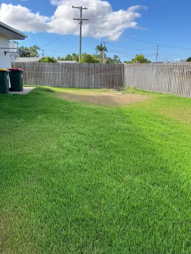 A freshly mown green lawn beside a timber fence under a blue Townsville sky