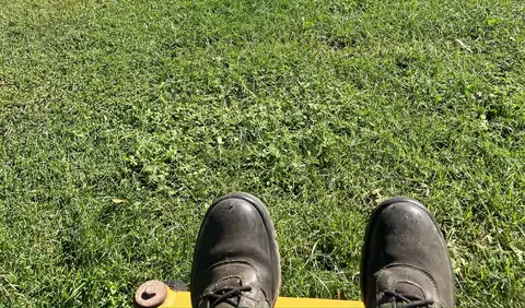 The view from the mower