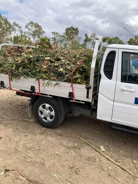 A white ute loaded high with green waste